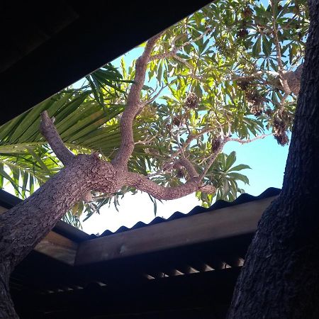 Villa Yapaplupres Saint-Leu Exteriér fotografie